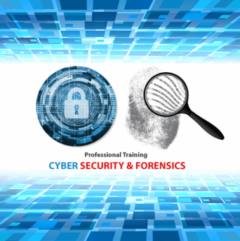 Professional Training on Cyber Security & Forensics