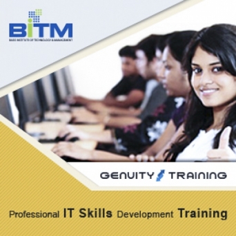 Professional ICT Skills Development Training