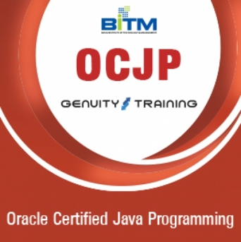 Oracle Certified Java Programming (OCJP)