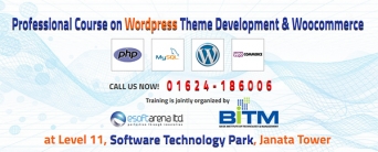 Professional Course on Wordpress Theme Development  & Woocommerce