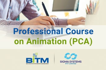 Professional Course on Animation (PCA)