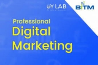 Professional Digital Marketing