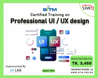 Online Training on Professional UI/UX Design