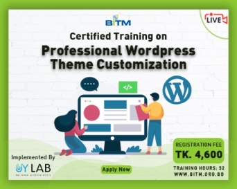 Online Training on Professional Wordpress Theme Customization