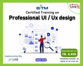 Online Training on Professional UI/UX Design