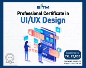 Professional Certificate in UI/UX Design(1st batch)