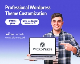 Online Training on Professional Wordpress Theme Customization(10th Batch)