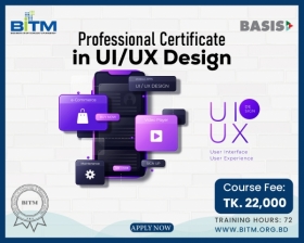 Professional Certificate in UI/UX Design